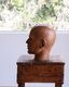 Mens Mannequin Head A�å�� �ޥͥ���إå� A