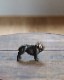Bulldog Ornament BO-003�å֥�ɥå������ʥ��� BO-003