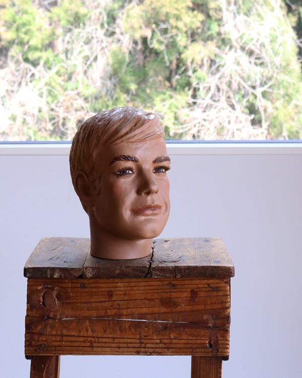 Mens Mannequin Head B�å�� �ޥͥ���إå� B