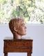 Mens Mannequin Head B�å�� �ޥͥ���إå� B