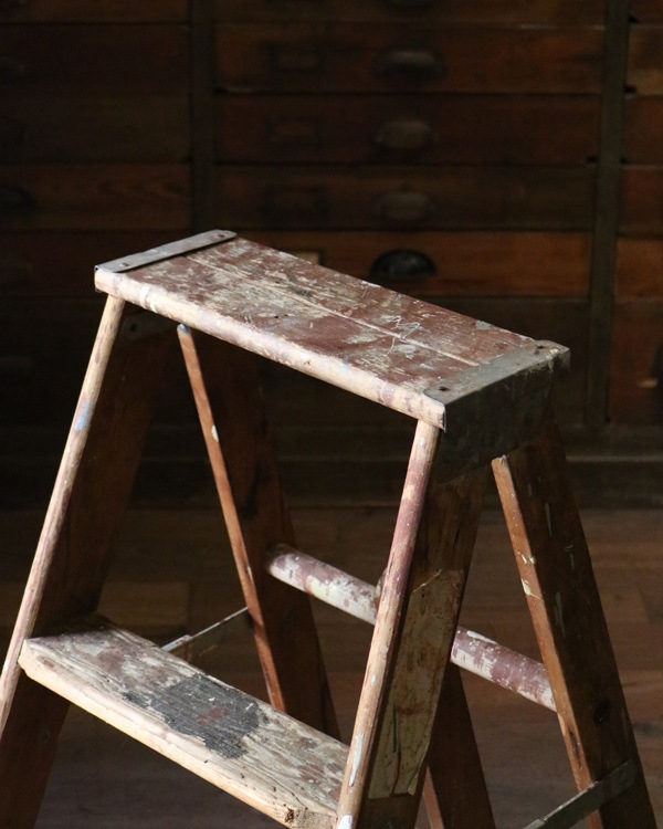 Step Ladder�å��ƥåץ����