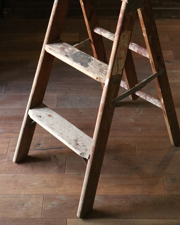 Step Ladder�å��ƥåץ����