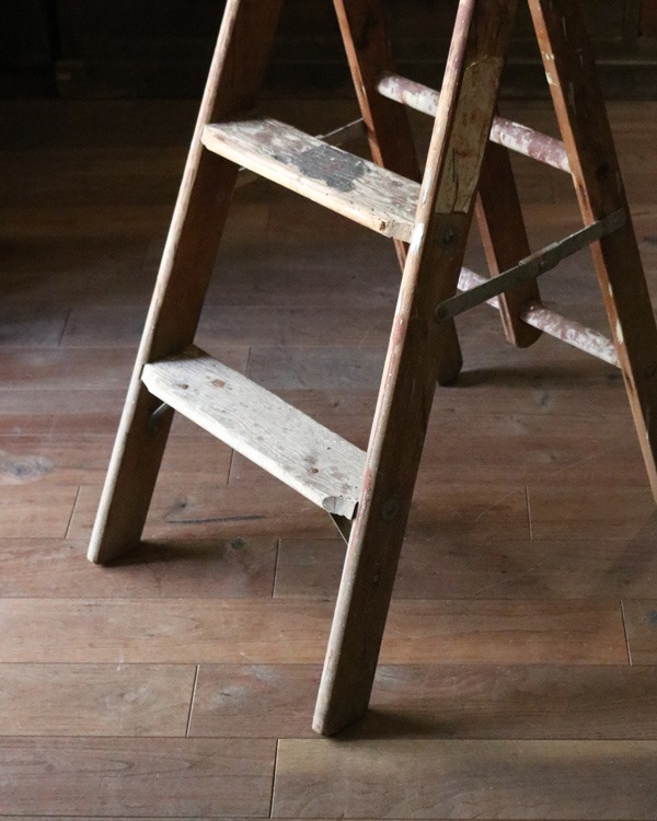 Step Ladder�å��ƥåץ����