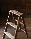 Step Ladder�å��ƥåץ����