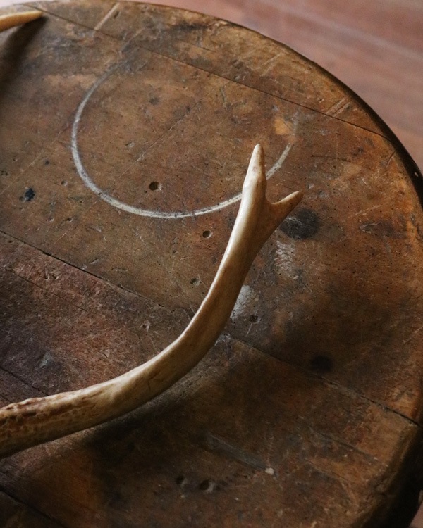 Deer Antler H-No.01�ü��γ� H-No.01