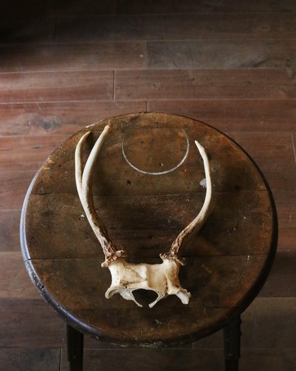 Deer Antler H-No.01�ü��γ� H-No.01