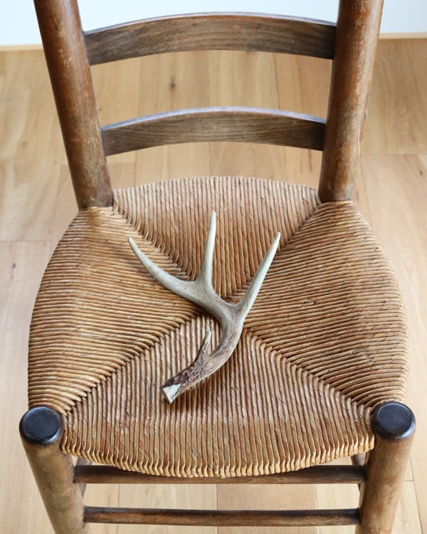 Deer Antler No.1�ü��γ� No.1