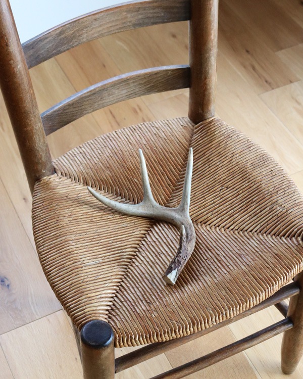 Deer Antler No.1�ü��γ� No.1
