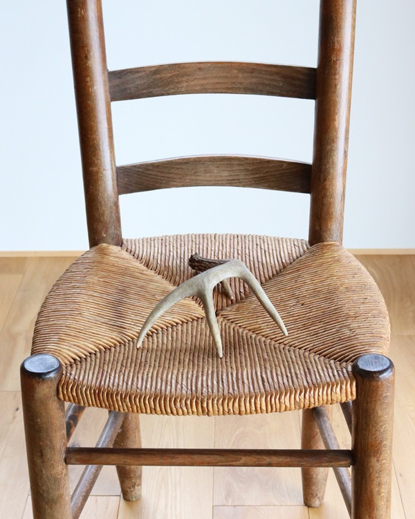 Deer Antler No.1�ü��γ� No.1