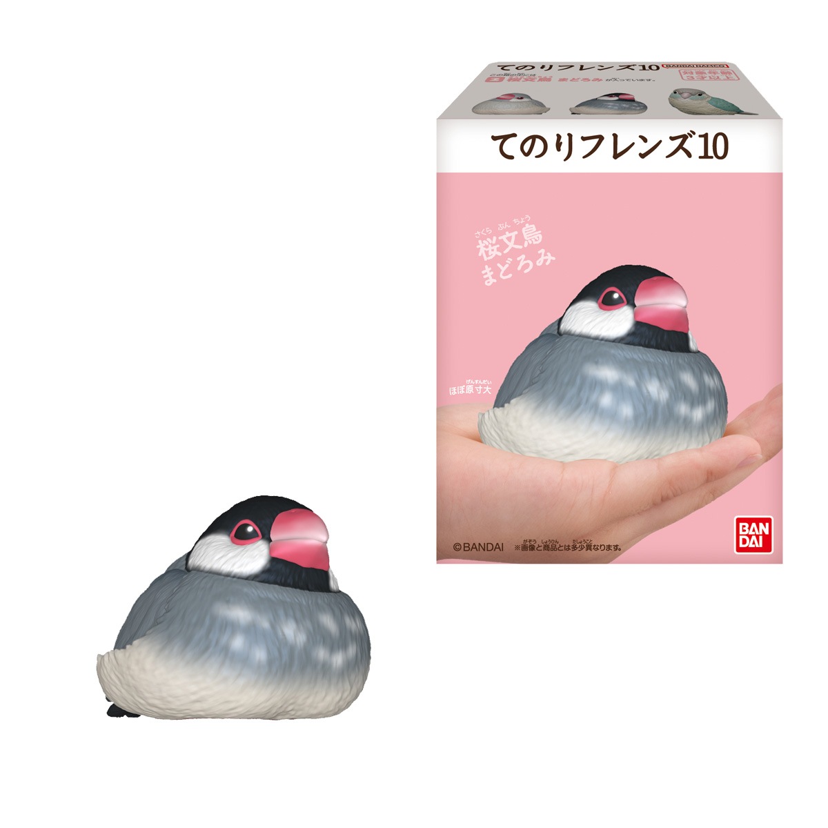 BOX】てのりフレンズ10 12個入り (食玩) |ジャンルで探す,おもちゃ,食 