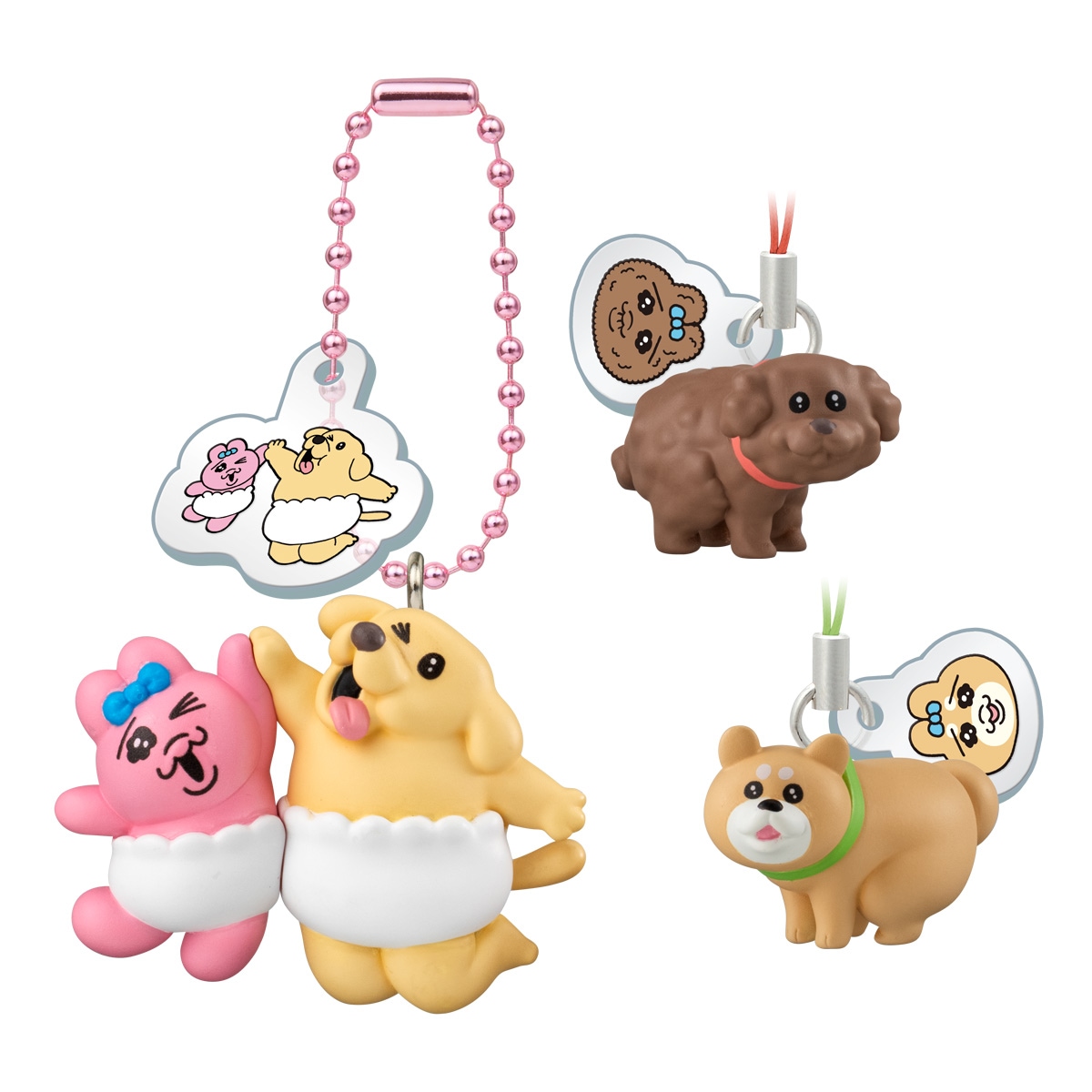2026年8月発売 予約商品】【BOX】おぱんちゅうさぎとわんころ