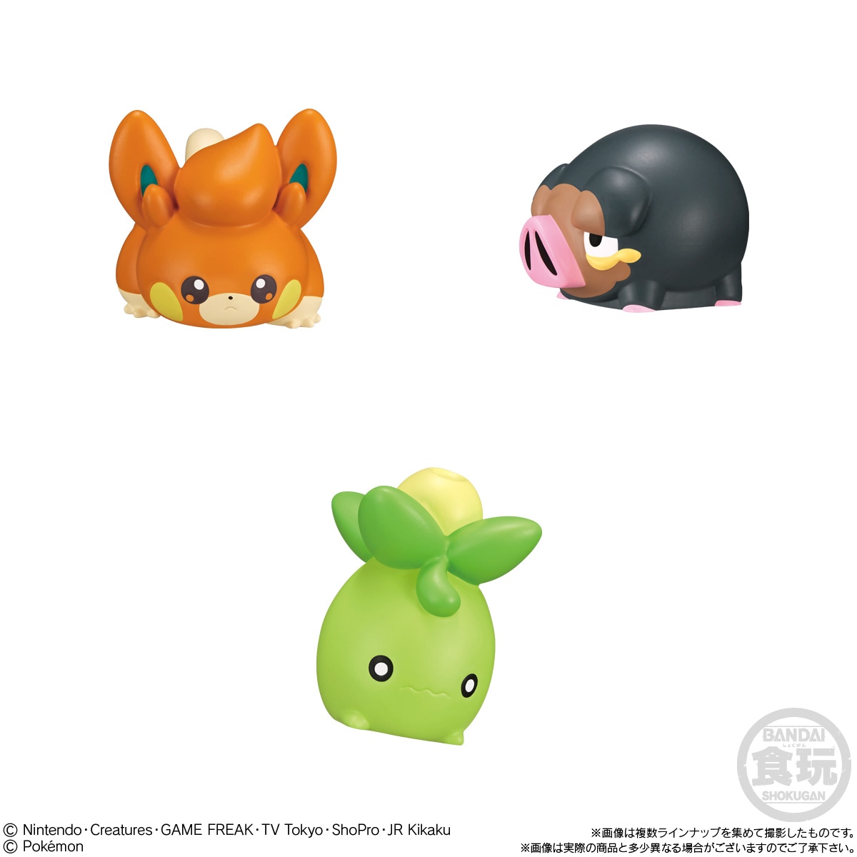 2023年5月発売 予約商品】【BOX】ポケモンキッズ パルデア地方編 24個