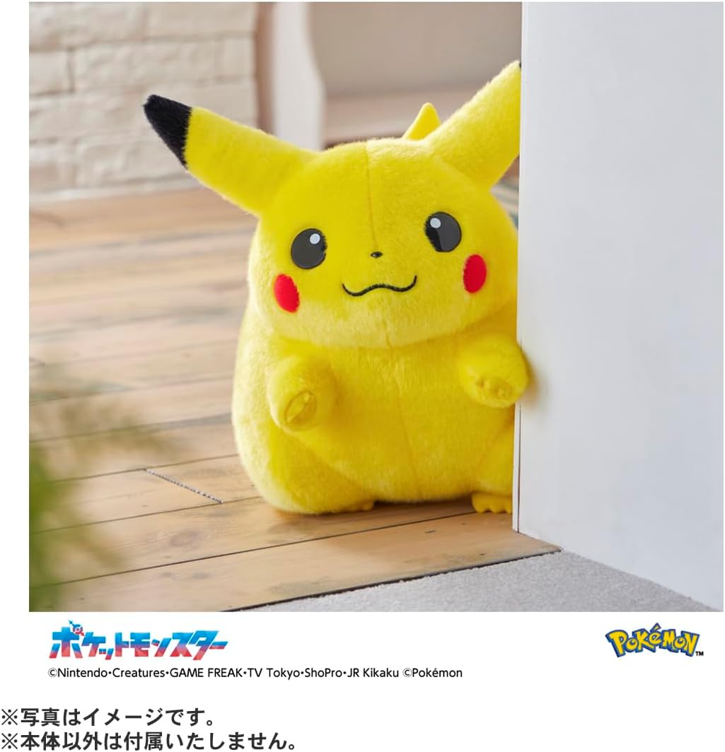ポケットモンスター ポケモン30周年記念 おかえり! ピカチュウ 1/1