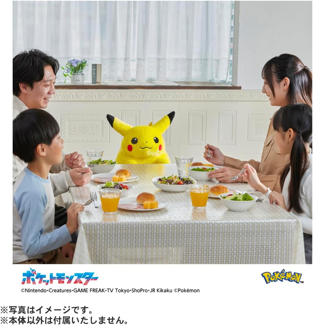 ポケットモンスター ポケモン30周年記念 おかえり! ピカチュウ 1/1