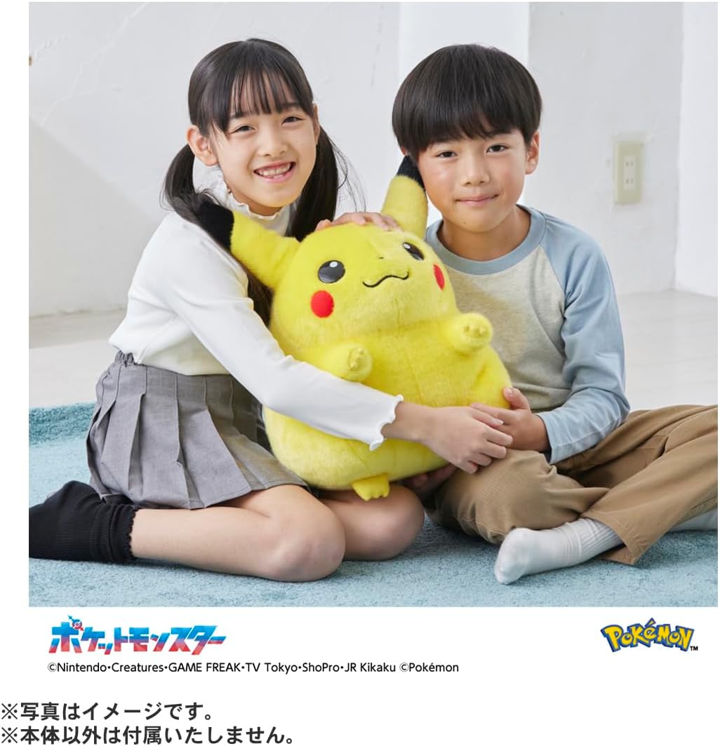ポケットモンスター ポケモン30周年記念 おかえり! ピカチュウ 1/1