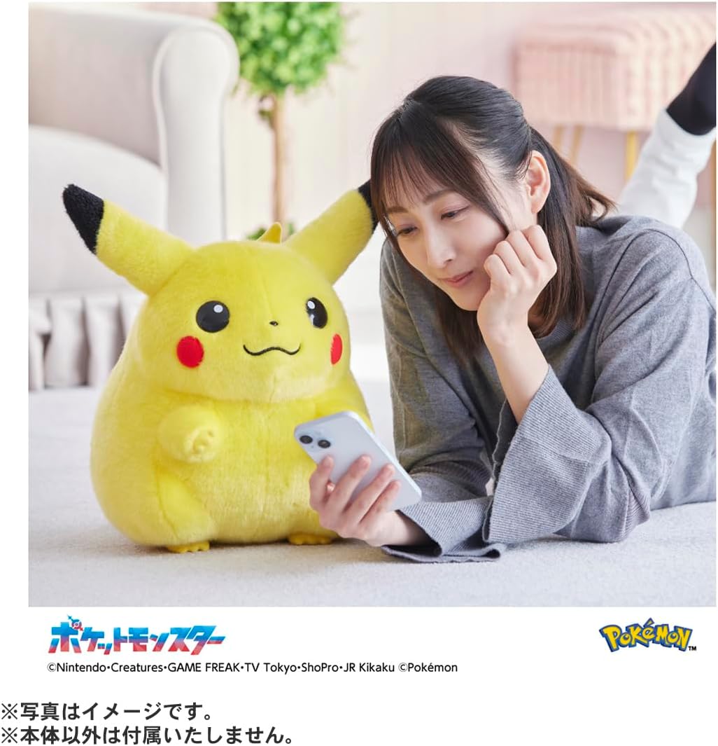 ポケットモンスター ポケモン30周年記念 おかえり! ピカチュウ 1/1