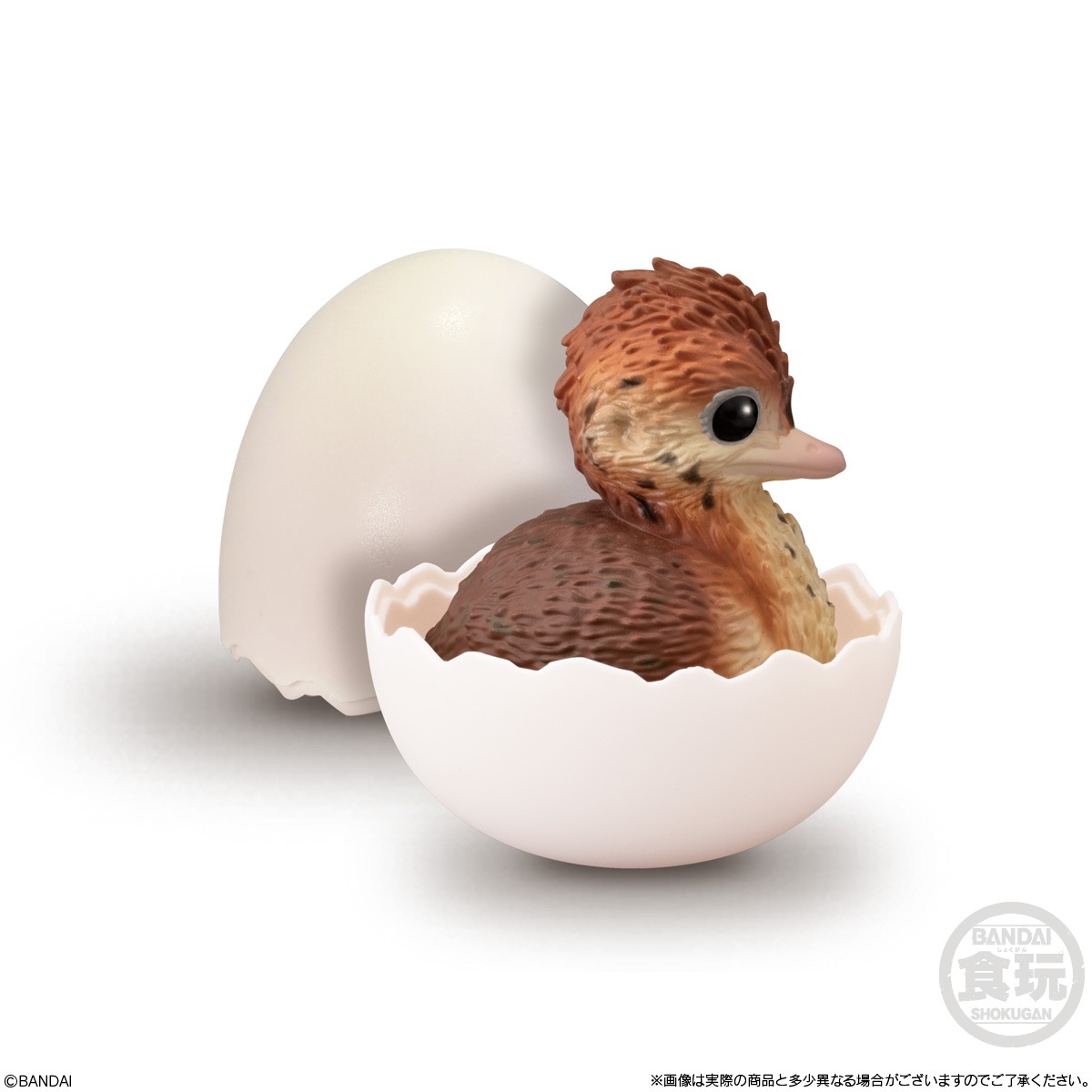 2025年4月発売 予約商品】【BOX】てのりベイビーフレンズ -鳥- 12個