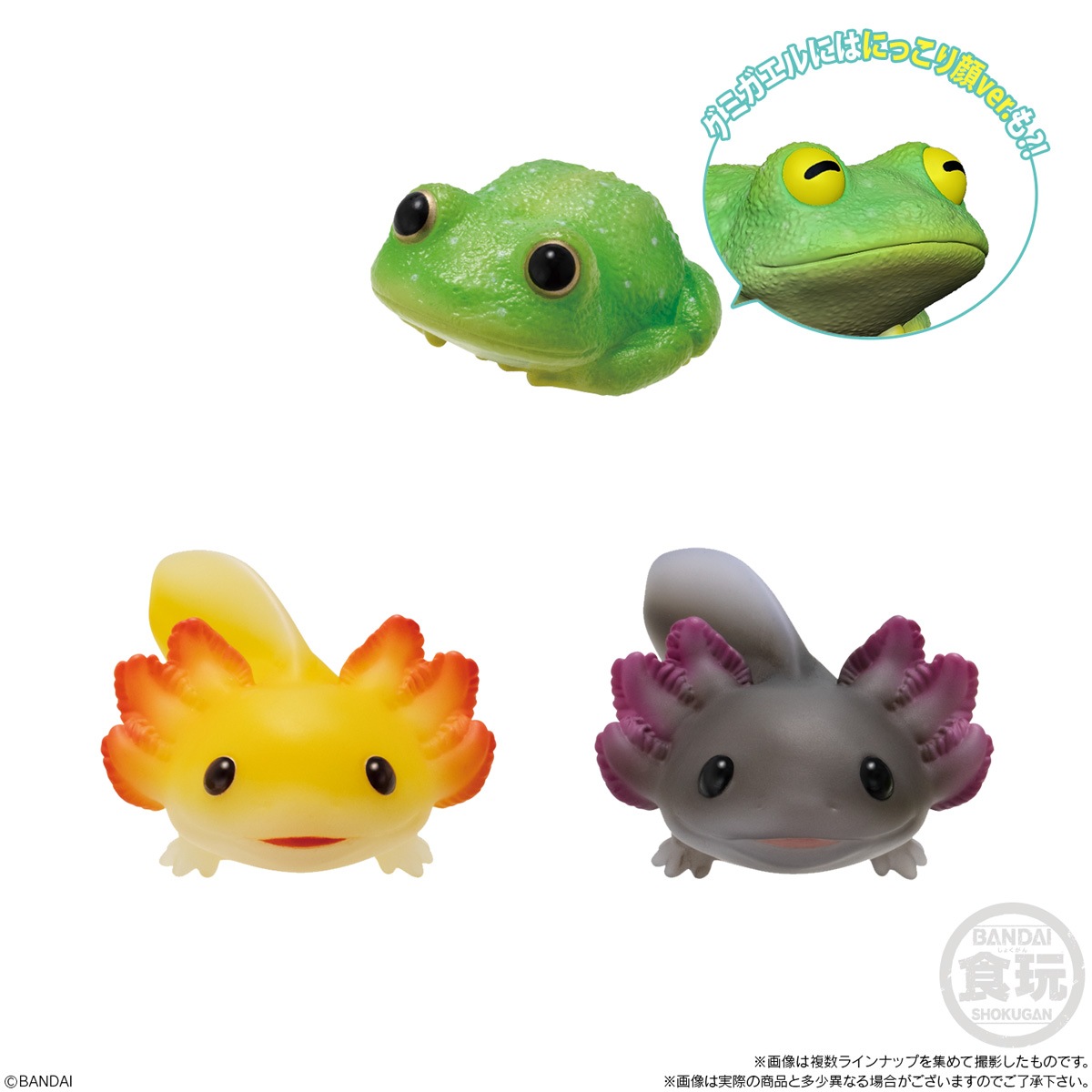 てのりフレンズ11 9種セット 爬虫類 両生類 2024年8月発売 予約商品】【BOX】てのりフレンズ11 爬虫類・両生類 12
