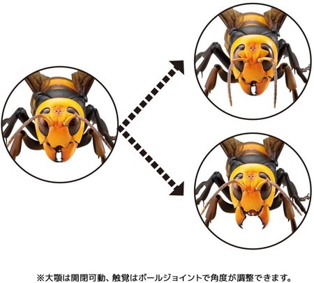 新品未開封】【再販】リボジオ オオスズメバチ |ジャンルで探す