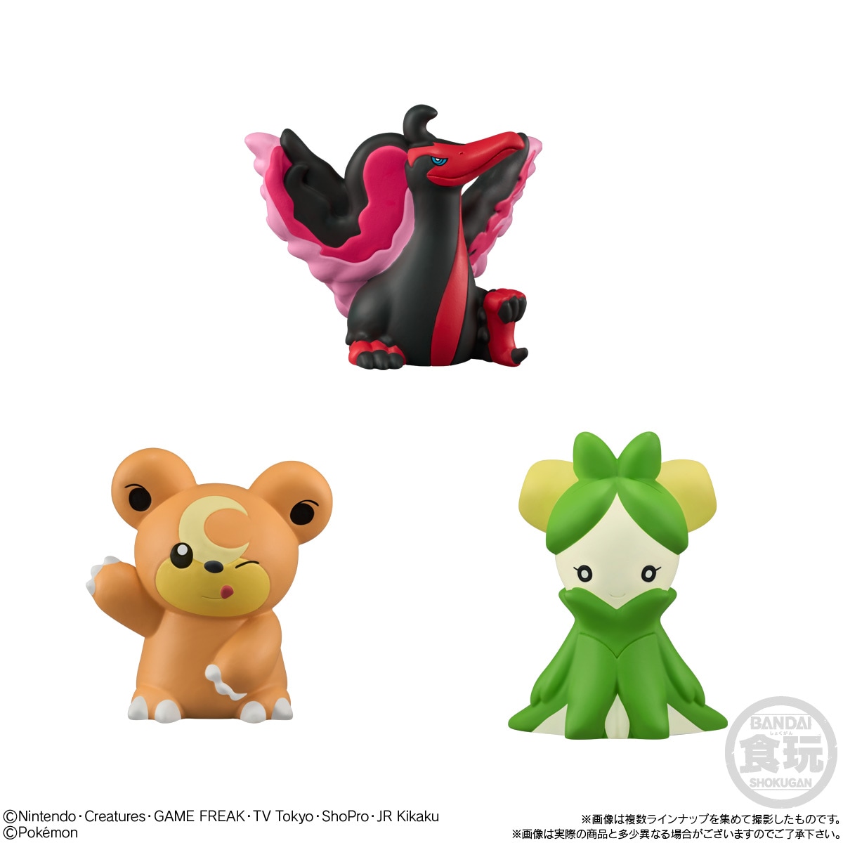 2025年5月発売 予約商品】【BOX】ポケモンキッズ テラパゴス編 24個