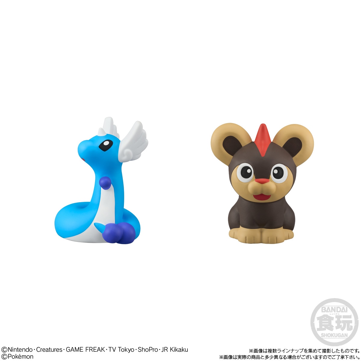 2025年5月発売 予約商品】【BOX】ポケモンキッズ テラパゴス編 24個