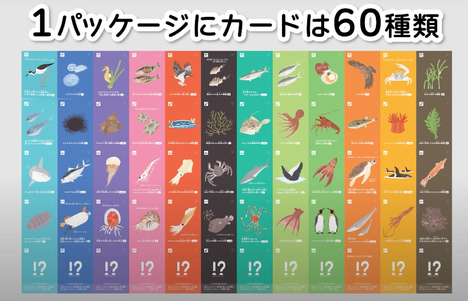 ボドゲまとめ買い☆3点で10％、4点以上で15％オフ対象）LineUP 