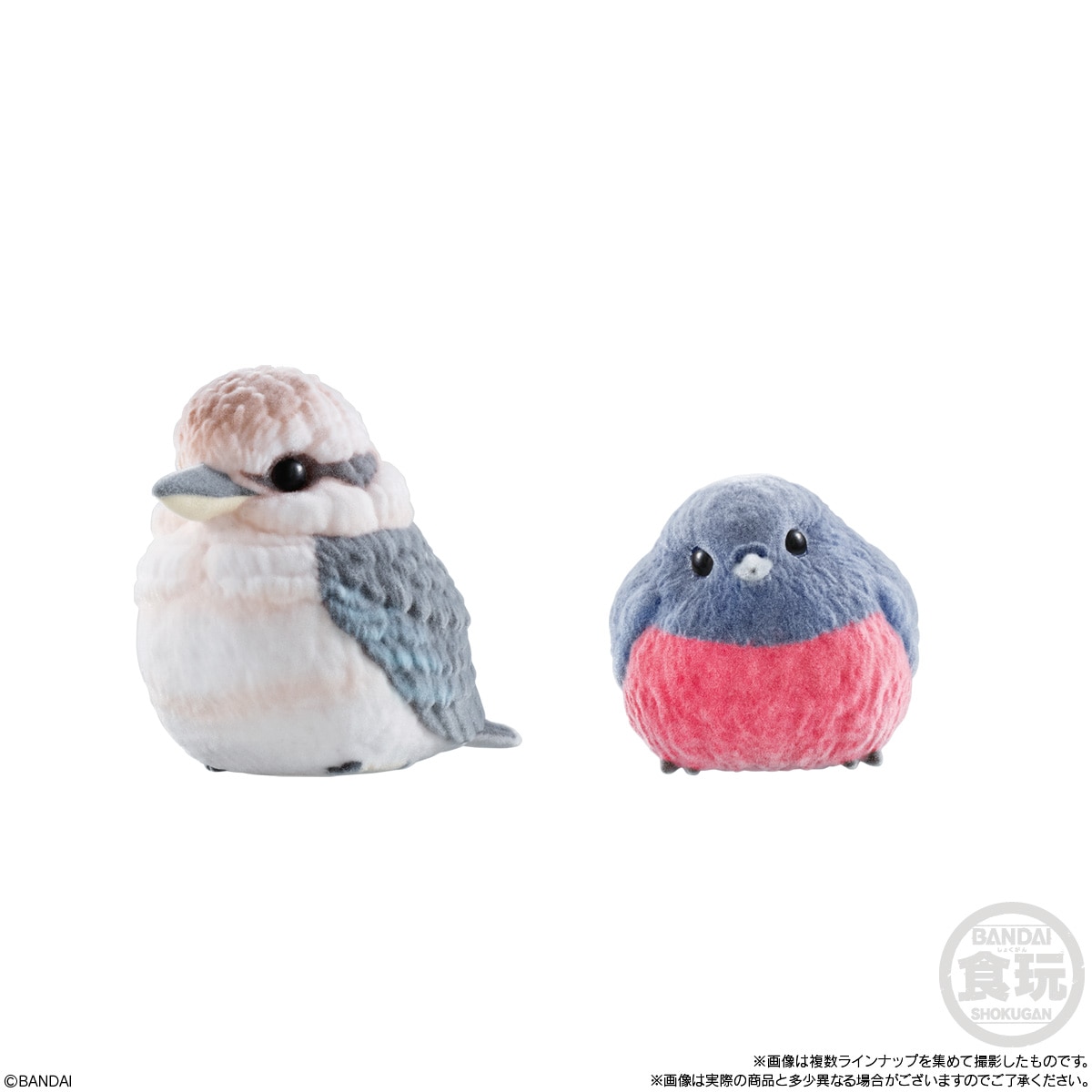 2026年5月発売 予約商品】【BOX】もふもふ てのりフレンズ3 12個入り