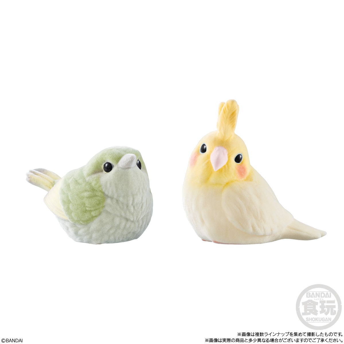 2026年5月発売 予約商品】【BOX】もふもふ てのりフレンズ3 12個入り