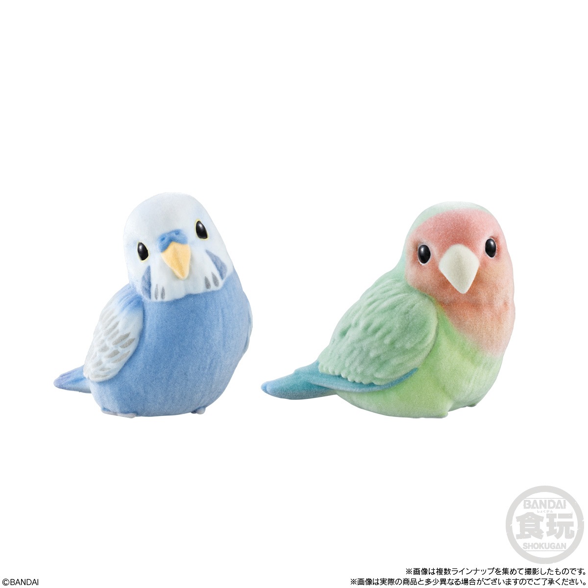 2026年5月発売 予約商品】【BOX】もふもふ てのりフレンズ3 12個入り