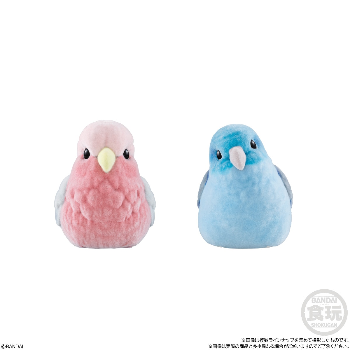 2026年5月発売 予約商品】【BOX】もふもふ てのりフレンズ3 12個入り