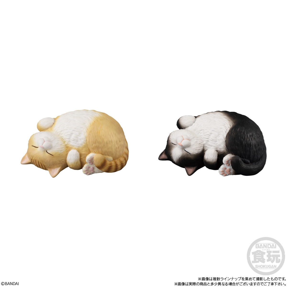 ちこりん　MBL 38 Lee（リー） レディース BOY'S CUT ボーイズストレート (LL2641