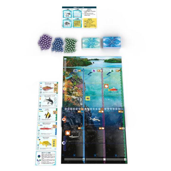 2026年10月23日発売予約】フィンスパン拡張：サメとサンゴ礁☆ボドゲ