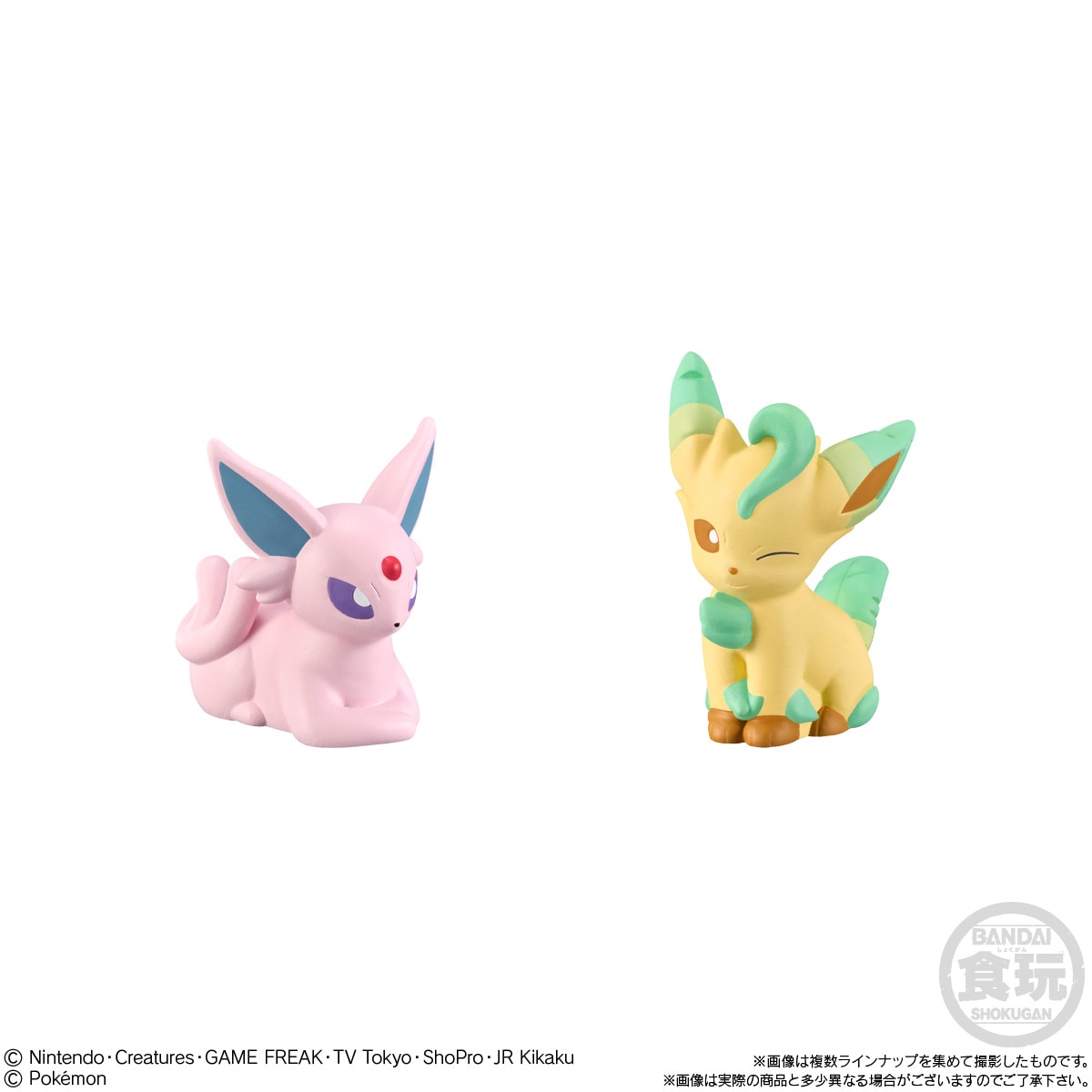 2024年8月発売 予約商品】【BOX】ポケモンキッズ リコと旅の仲間たち編