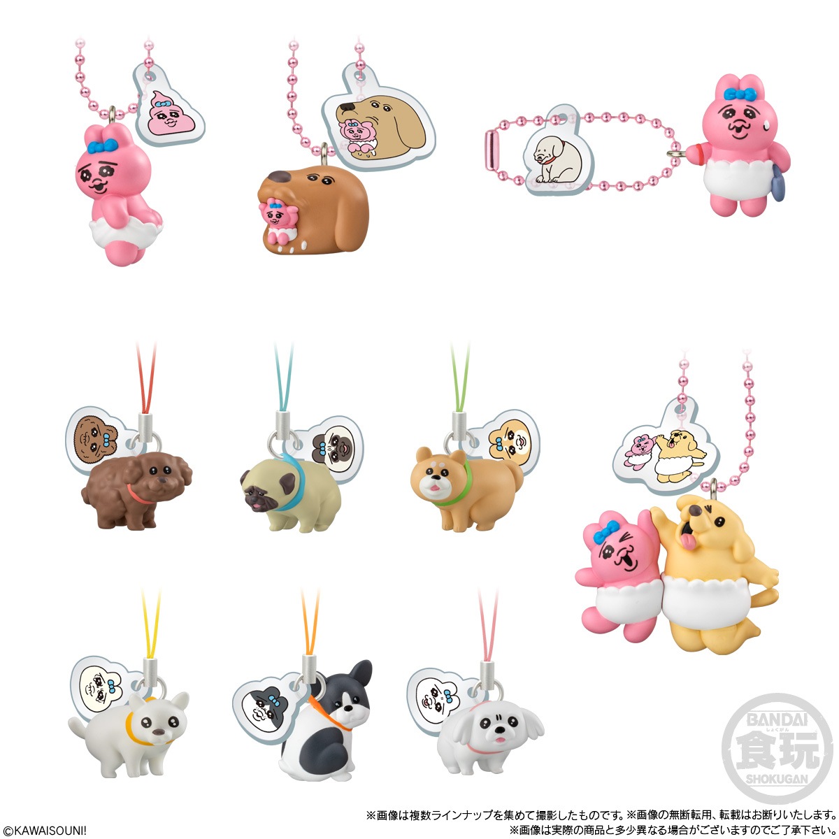 2026年8月発売 予約商品】【BOX】おぱんちゅうさぎとわんころ