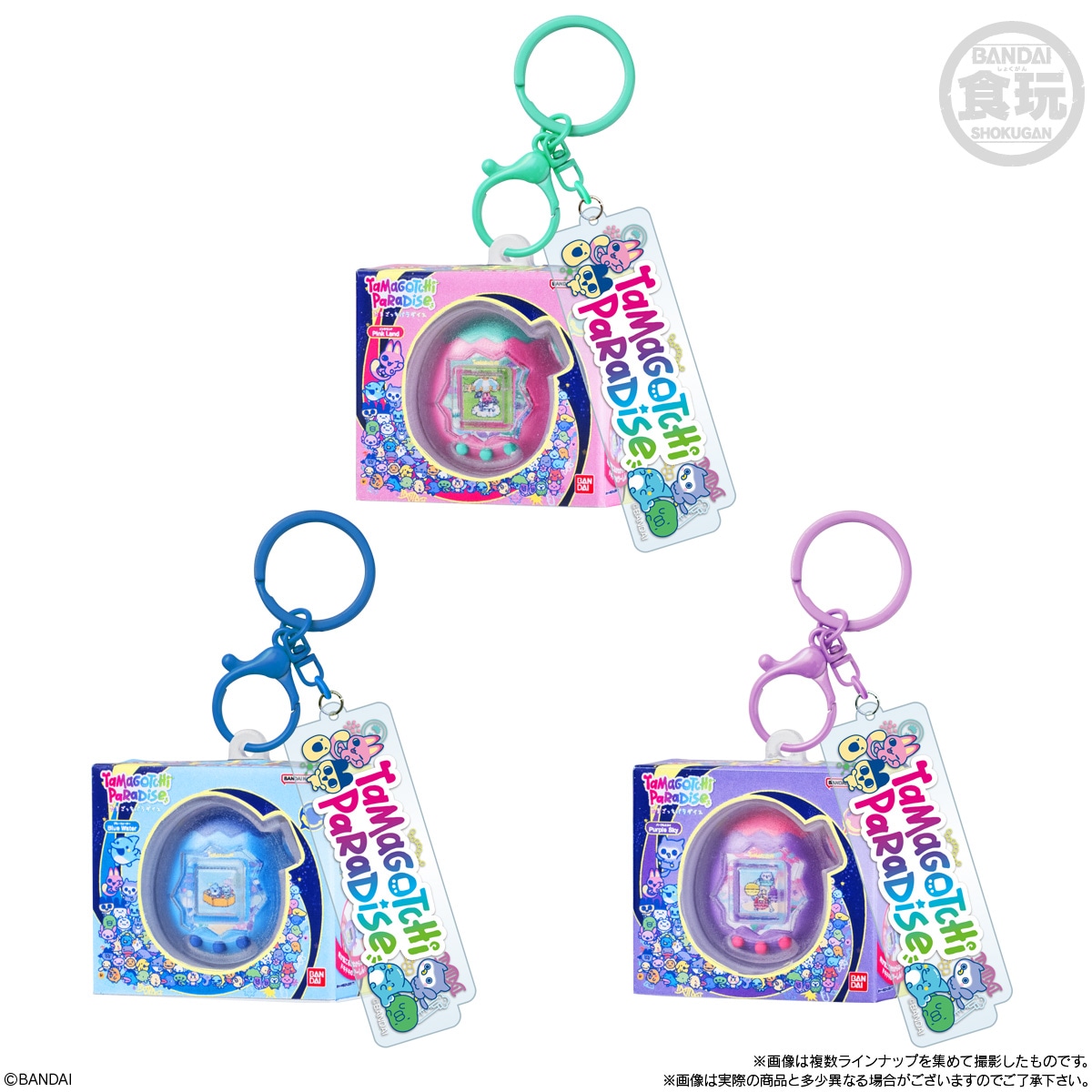 2026年8月発売 予約商品】【BOX】たまごっち カスタムキーリング2 10