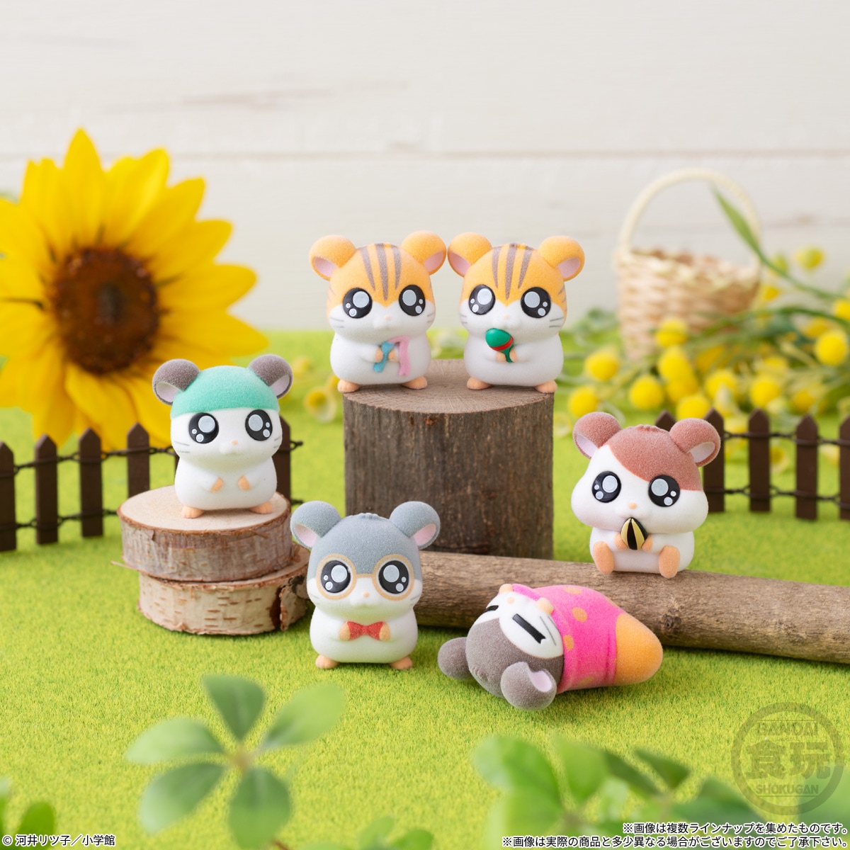 2027年1月発売 予約商品】【BOX】とっとこハム太郎どーる2（ちゅー