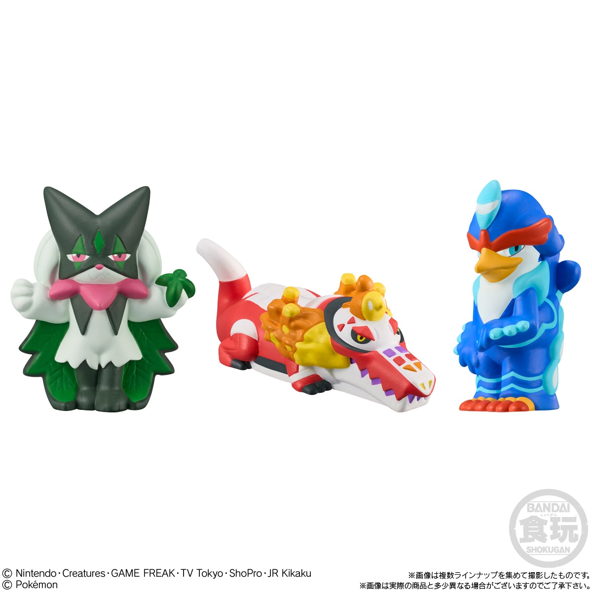 ポケモンキッズ　ゴー！ゴー！パルデア編　未開封BOX 2024年5月発売 予約商品】【BOX】ポケモンキッズ ゴー！ゴー！パルデア