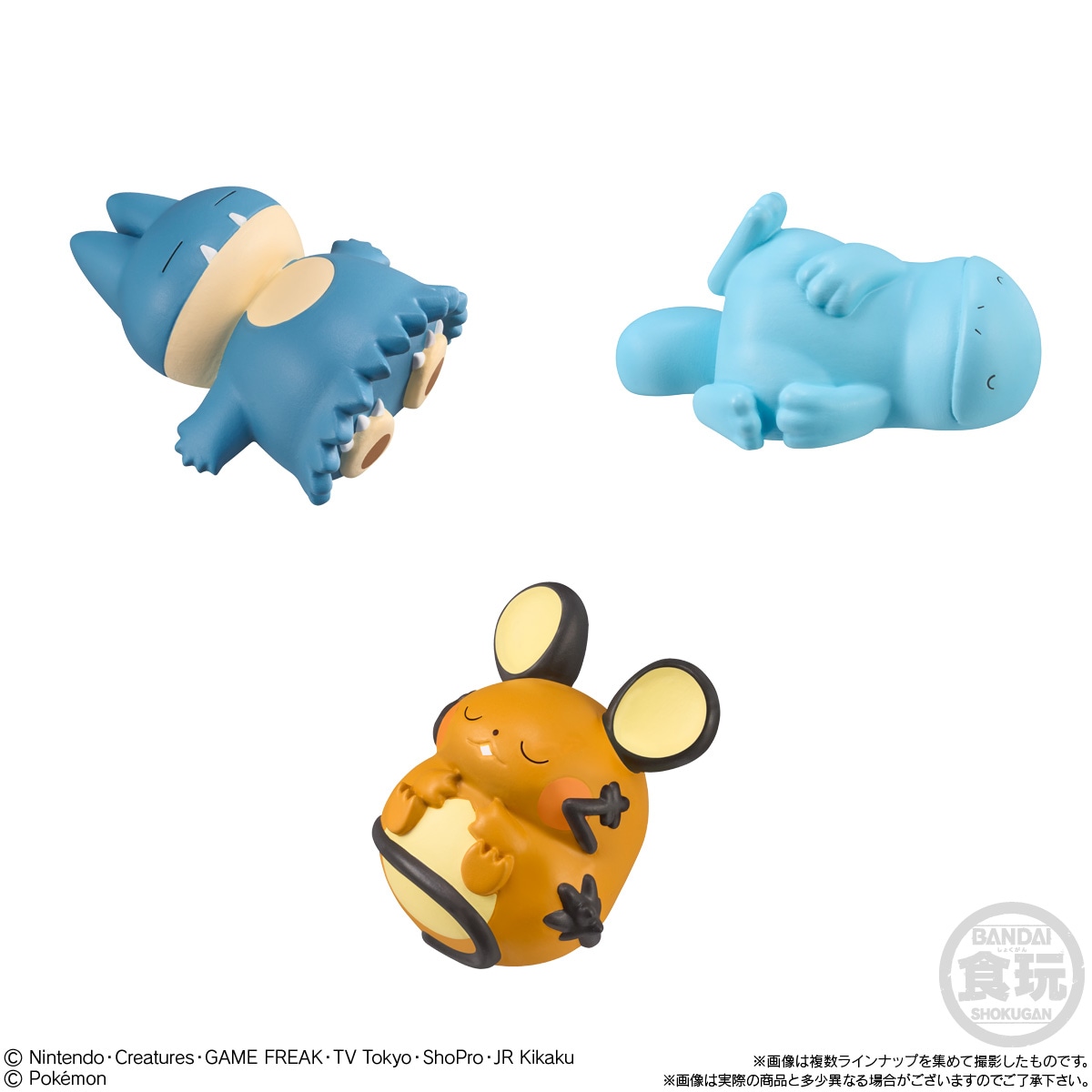 2024年5月発売 予約商品】【BOX】ポケモンキッズ ゴー！ゴー！パルデア