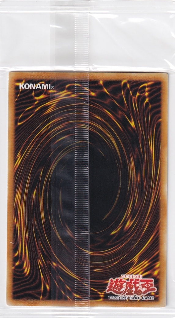 未開封】女剣士カナン/Kanan the Swordmistress【スーパー】(WCS-001