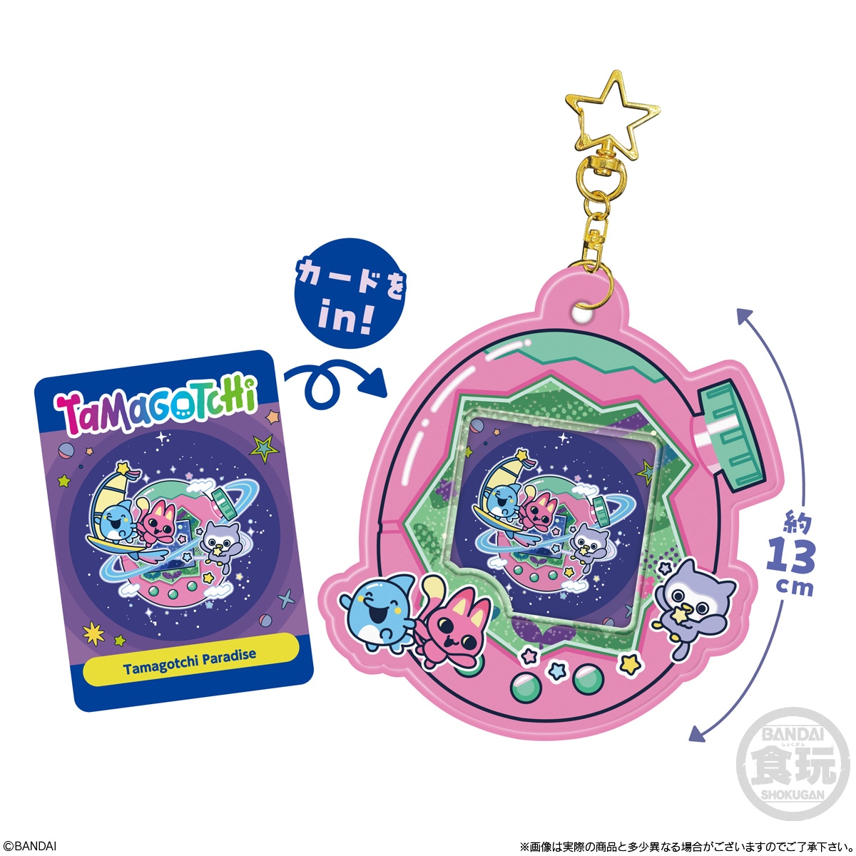 2026年11月発売 予約商品】【BOX】たまごっち カードホルダー 12個入り
