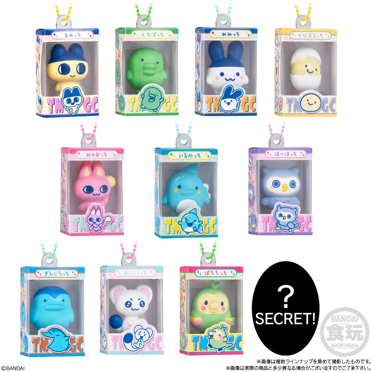 2026年12月発売 予約商品】【BOX】たまごっち チョコボックス ボックス