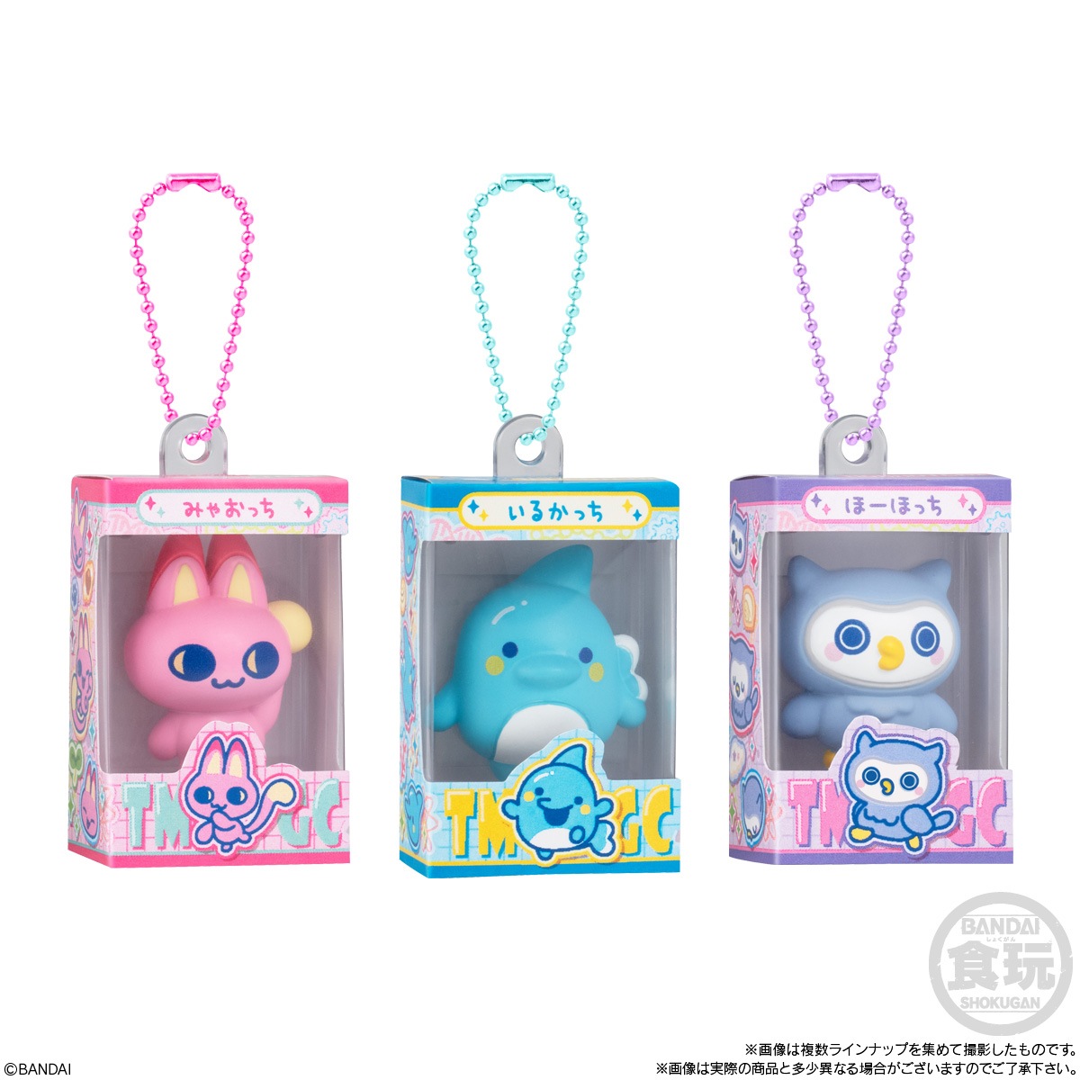 2026年12月発売 予約商品】【BOX】たまごっち チョコボックス ボックス