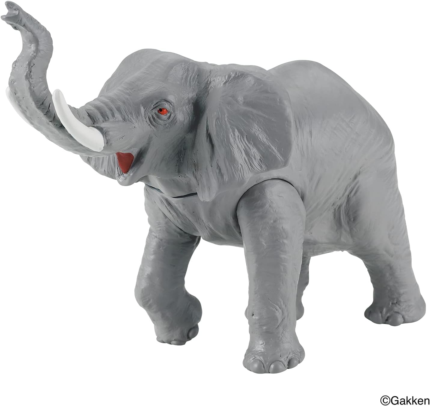 1_000000026695.jpg?1690722819