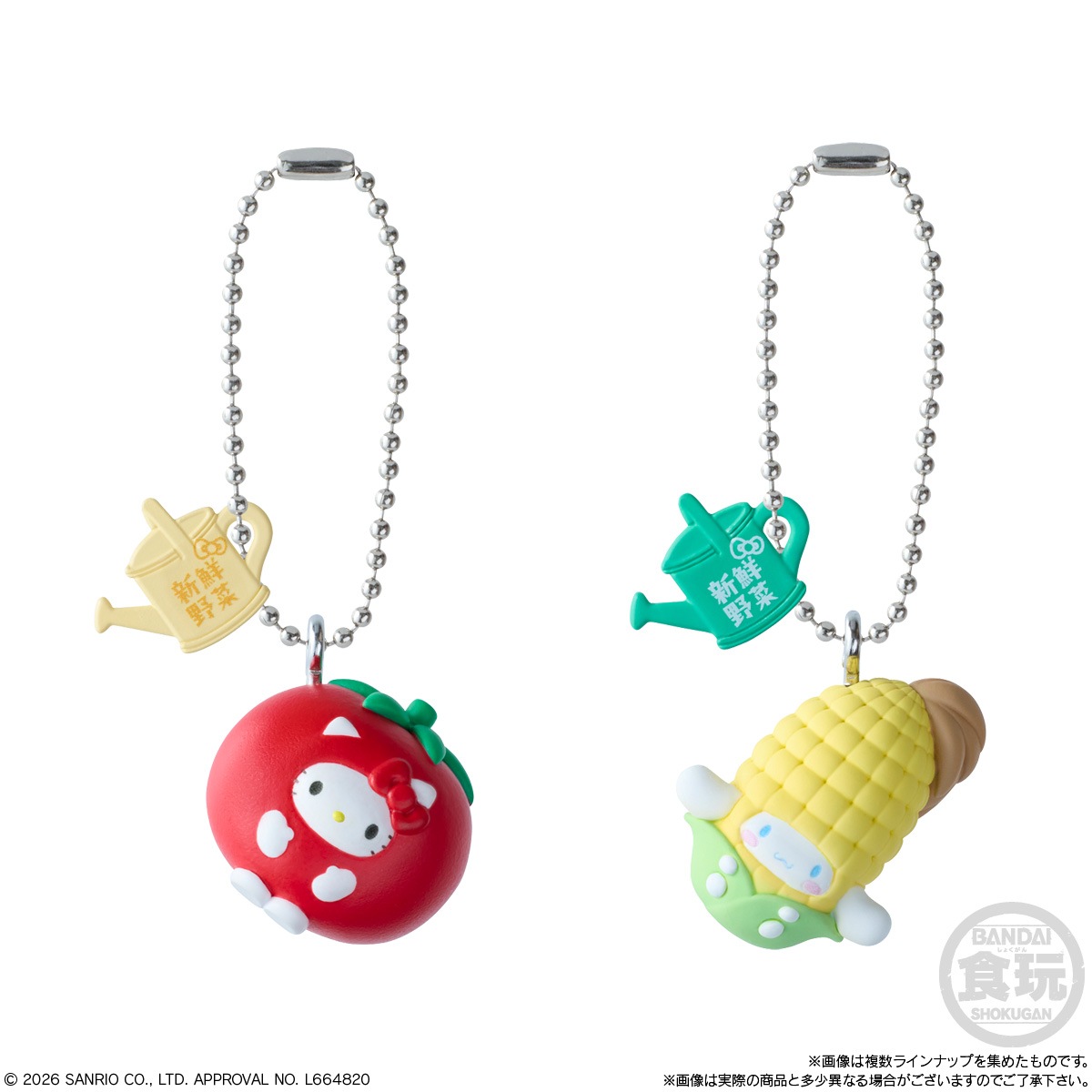 BOX】サンリオキャラクターズ ベジタブルビスケット＆チャーム 10個 