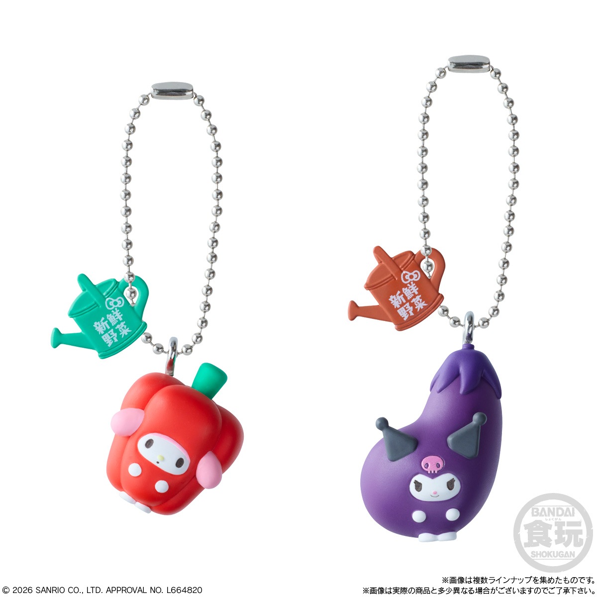 BOX】サンリオキャラクターズ ベジタブルビスケット＆チャーム 10個 