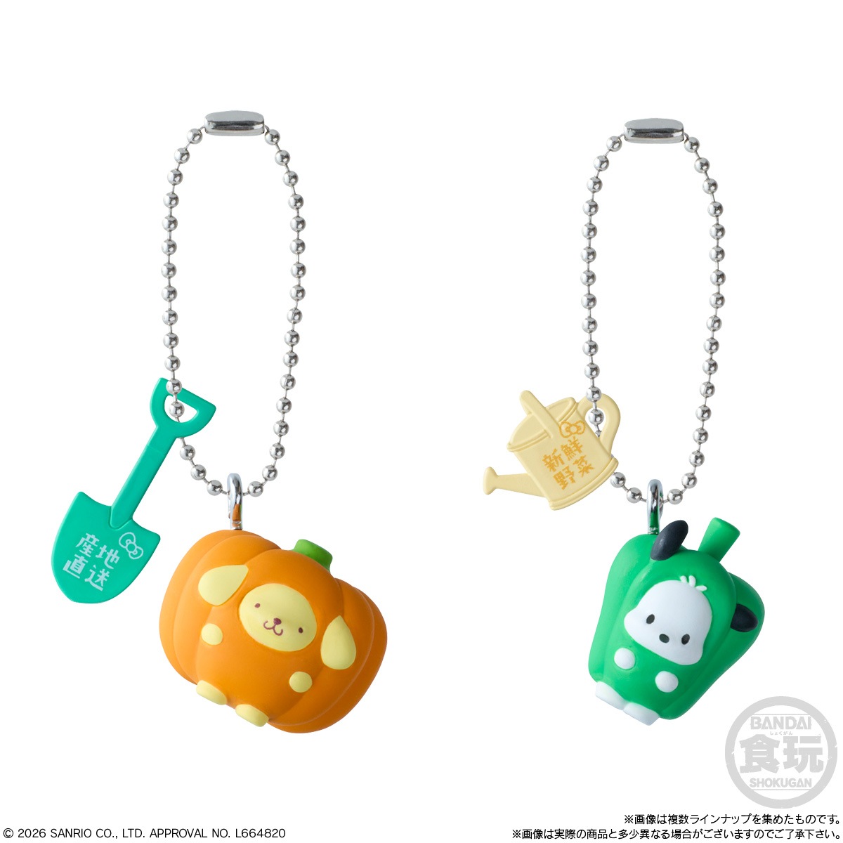 BOX】サンリオキャラクターズ ベジタブルビスケット＆チャーム 10個