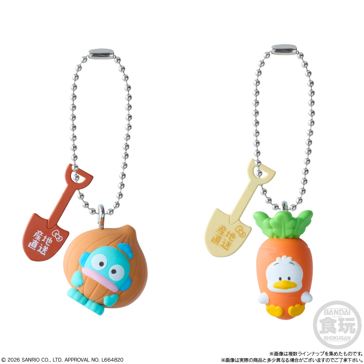 BOX】サンリオキャラクターズ ベジタブルビスケット＆チャーム 10個 