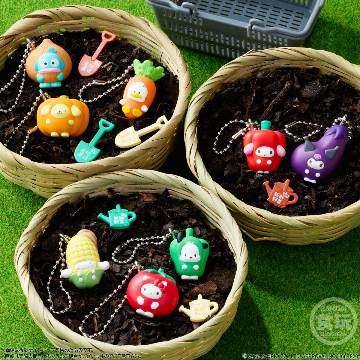 2026年6月発売 予約商品】【BOX】サンリオキャラクターズ ベジタブル