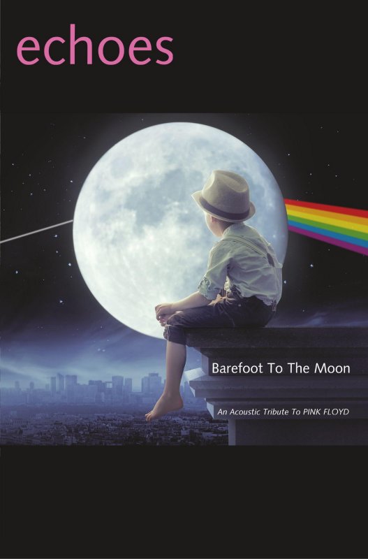 ECHOES - Barefoot to the Moon (DVD)