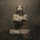 DIMLIGHT - The Lost Chapters